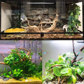 Hamiledyi 7-10in Natural Aquarium Driftwood 2PCS Large Reptile Spider Wood Ornament Assorted Branches Natural Driftwood 