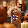 Halloween Dog Bandanas 2 Pack Pumpkin Ghost Bat Bone Candy Triangle Scarf