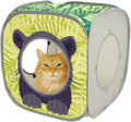 Kitty City Safari Jungle Pop-Up Cat Cube, Collapsible Indoor Cat Hideout & Play Cube with Peekaboo Openings, Easy Storag