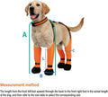 All-in-One Dog Suspender Boots for Small, Medium & Large Dogs – Waterproof Paw Protectors with Non-Slip Sole & Reflectiv