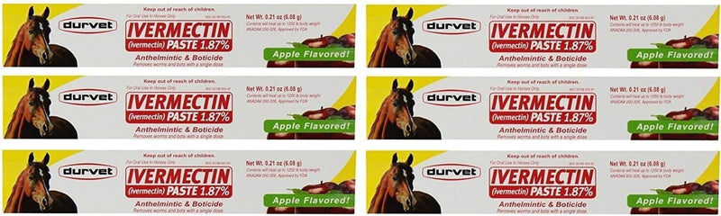 Durvet Ivermectin Paste Dewormer - 6.08g dose @ 1.87% Apple Flavor (6-Pack)