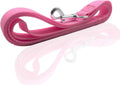 Nylon Dog Leash 8 Feet Long, Walking Training Dog Leashes for Medium Large Dogs