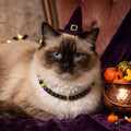 Halloween Beaded Pet Necklace Collar Dog Cat Holiday Costume Collar 16In