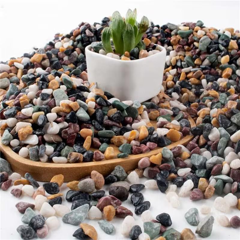 AVALUTION Aquarium Gravel for Plants -7lb Fish Tank Gravel for Succulent Cactus & Bonsai, 1/4Inch Decorative River Rocks