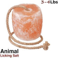 ZK Himalayan Salt Lick for Horses, Livestock– (3-4 lbs) (Pack of 3 Natural Mineral Salt Block for Goats, Cattle & Deer w