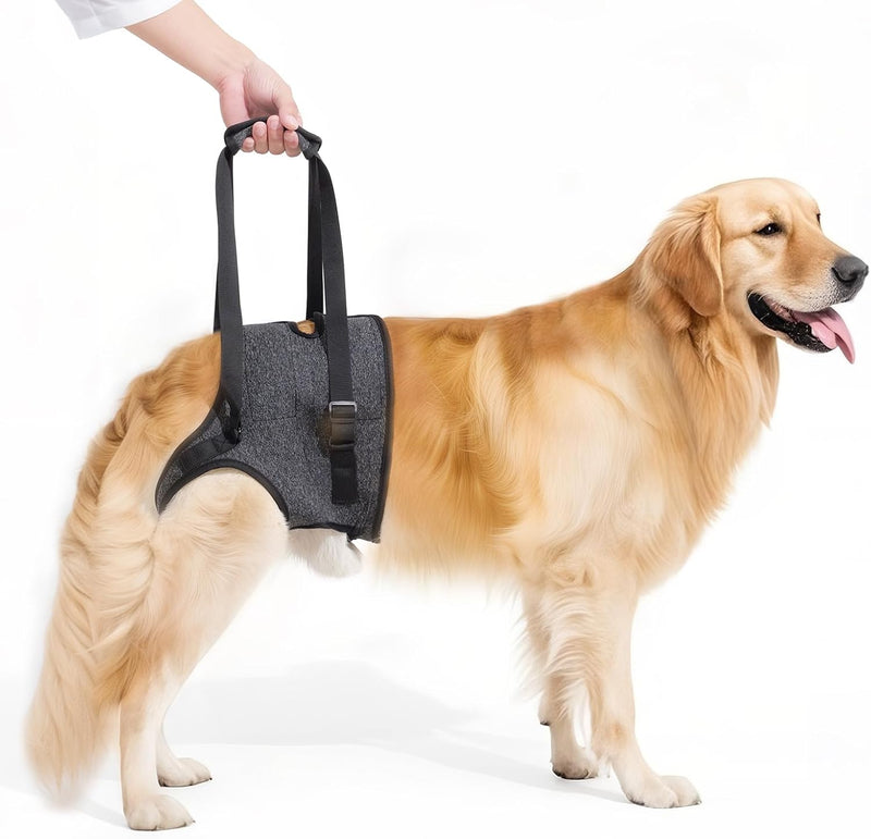 Dog Sling for Large Dogs Hind Leg Support, Adjustable Soft Padded Harness for Weak, Injured, or Disabled Back Legs, Help