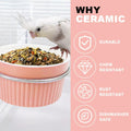 WQY Groceryshop Bird Cage Feeder Parrot Food Cage Bowl Clamp Holder Coop Cup, Ceramic Bird Cage Water Bowl, Pet Feeder Cage for Parakeet African Greys Conure Cockatiels Lovebird Budgie Chinchilla-Pink