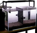 LINLAN 10 Pieces Aquarium Divider Suction Cup Clips, Glass Fixing Clips, Plastic Mesh Board Isolation Holders for Fish T