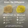 Naroa Natural Hermit Crab Sponges - Pack of 5 | Unbleached Sea Sponge for Water Drinking Safety | Aquarium Decor Balance