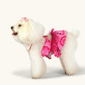 CuteBone One Piece Dog Bikini Swimsuit Dress - Puppy Bathing Suit Costume for Small Dogs - Comfortable & Stylish Pet Clothes for Summer Pool, Beach & Play LTDB01S