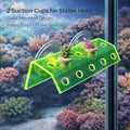 kcrygogo Fluorescent Green Coral Frag Holder Acrylic Coral Rack with Powerful Double Suction Cup Suitable for Household 