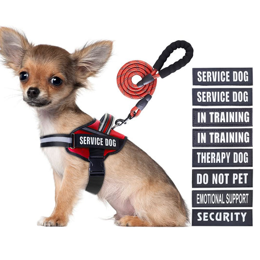Service Dog Vest Harness and Leash Set, Animire in Training Dog Harness with 10 Dog Patches, Reflective Dog Leash with Soft Padded Handle for Small, Medium, Large, and Extra-Large Dogs (RED,S)