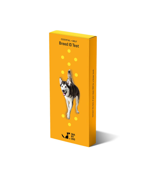 DNA MY DOG Essential + Wolf Breed ID Test– Trusted & Affordable Breed + Wolf Test | 350+ Breeds Identified w/ 99%+ Accuracy | Complete Breed Analysis + Wolf, Personality | Results in 2 Weeks