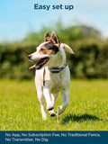 Wireless Dog Fence System, GPS Wireless Dog Collar with 3 Correction Modes, Pet Containment System with AI Smart Signal,