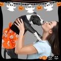 Dog Halloween Costumes Dog Dress Halloween Costumes for Dogs Funny Puppy Dress with Bow for Small Medium Large Dogs Pump