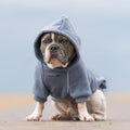 Spark Paws Dog Hoodie - Buttery-Soft Sweater Sweatshirt, Clothes for Puppy