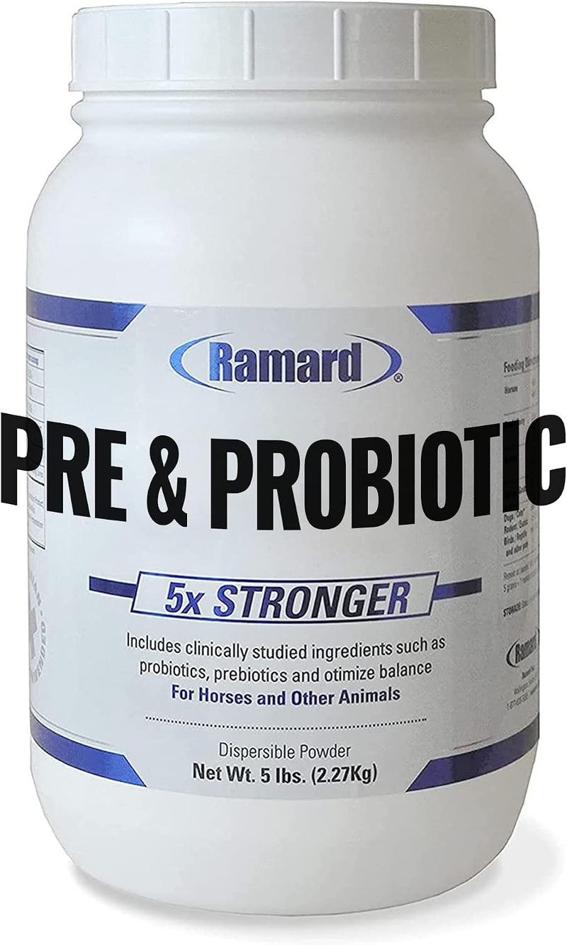 Ramard Total Prebiotic & Probiotic Equine Formula - Natural Digestive Supplement for Horses Optimal Gut Health, Nutrient