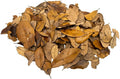 XYZReptiles Premium Live Oak Leaf Litter Isopod Substrate Terrarium Bedding (1 Gallon)