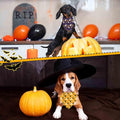 Halloween Dog Bandanas 2 Pack Pumpkin Ghost Bat Bone Candy Triangle Scarf