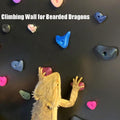 24Pcs Rock Climbing Holds for Bearded Dragons,Reptiles Toy Rock Wall Holds,6 Multi-Size Climbing Rock Wall Grips for Bea