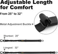 Plutus Pet Dog Seat Belt for Car, Adjustable Harness with Elastic Bungee