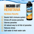 MICROBE-LIFT Herbtana Fish Medicine, Immune Booster and Parasite Treatment for Aquarium Fish Health, Ich Treatment, Use 