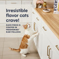 Instinct Original Dry Cat Food, Raw Coated Kibble, High Protein, Grain Free Recipe - Real Chicken, 5 lb. Bag