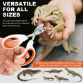 Bearded Dragon Nail Clipper with Nail File, Stainless Steel Nail Trimmer