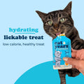 Cat Years Hydration Booster, Daily Lickable Treat, Chicken 7-Day Supply