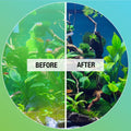 MICROBE-LIFT Algaway 5.4 Algae Remover for Aquariums, Algaecide for Freshwater and Saltwater Tanks, Aquarium Algae Contr