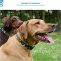 RC Pets Eco Clip Collar, 1-Inch