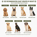 RYNVALE Dog Rain Coats for Large Dogs with Removable Hood