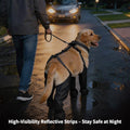 All-in-One Dog Suspender Boots for Small, Medium & Large Dogs – Waterproof Paw Protectors with Non-Slip Sole & Reflectiv