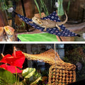 Knana 6pcs Reptile Terrarium Suction Cups for Bearded Dragon Hammock