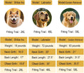 Dog Raincoat Waterproof Adjustable Rain Jacket Small Dogs Blue,L