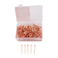 250Pcs Copper Plated Horseshoe Nails for Proof Equestrian Care with Storage Box | 45mm E3 (45mm E3)