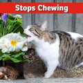 IMUSTGARDEN Dog & Cat Repellent: Stops Chewing, Natural, Pet Safe - 32oz