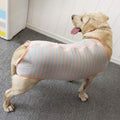 Dog’s Recovery Suit Post Surgery Shirt for Female Male Dog, E-Collar Alternative Wound Protective Clothes (Grey orange-2