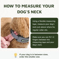 SpotOn Omni GPS Dog Fence Collar, Medium Dogs 12-18 Inch Neck