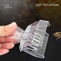 APlayfulBee 15 Pcs Queen Bee Cage Catcher Clip Transparent Plastic Beekeeping Tools kit