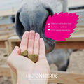Hilton Herbs Herballs No. 1 Oregano & Mint Horse Treat, 1.1 lb Bag – Herbal Horse Treats, Healthy Horse Treats, Natural 