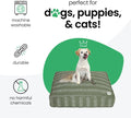 Molly Mutt Medium to Large Dog Bed Cover- Forever Young Print - Measures 27”X36”X5’’ - 100% Cotton - Durable - Breathable - Sustainable - Machine Washable Dog Bed Cover (Dd82b)