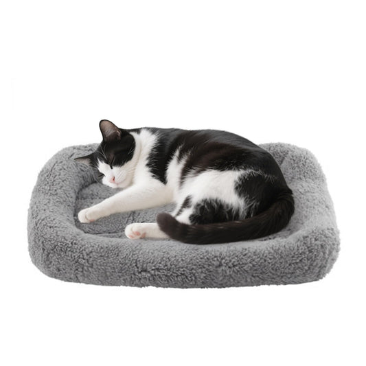 PETLESO Small Cat Bed Mat, 22" x 16" Plush Cushion with Surrounding Pillow for Small to Meidum Dogs Cats Sleeping, Indoor Pet Beds Furniture Carrier Crate Anti Skid Pad, Washable, Medium