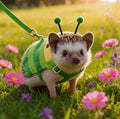 Hedgehog Leash and Harness with Carrying Bag Travel Clothes Accessories Harness Leash for Hamster Clothes for Ferret Gui