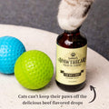 Cat Glucosamine Liquid Supplement with Chondroitin, Hyaluronic Acid & Taurine - Sophie's Apawthecary Hip & Joint Drops for Cats, Pain Relief & Joint Mobility Support, Plant-Based, Made in USA, 2 oz