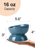 ABRUTY Cat Water Bowl, 16 OZ Ceramic Elevated Cat Bowls, 15° Tilted and Raised Pet Food Dish, Anti Vomiting Protect Pets