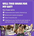 Cat Crack Organic Catnip, 100% Natural Cat Nips Organic Blend that Energizes and Excites Cats, Used for Cat Play, Training, & New Catnip Toys (1 Cup)