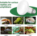 DaToo Reptile Heat Lamp 100W Amphibians Basking Light Bulb UVA Heat Lamp Bulbs Daylight Basking Spot Light for Lizards B