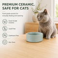 Havniva Cat Bowls Water Bowl Set of Two, 5.1” Ceramic Cat Food and Water Bowl Whisker Friendly Pet Food Bowls for Indoor Cats, Wide Cat Water Dish Prevent Whisker Fatigue Non Slip Cat Feeder