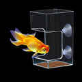 Square Fish Feeder Box No Mess Aquarium Food Catcher Tank Accessories Feeding Tube Holder for Betta Fish Blood Worm Food